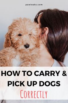 a woman holding a dog with the words how to carry and pick up dogs correctly