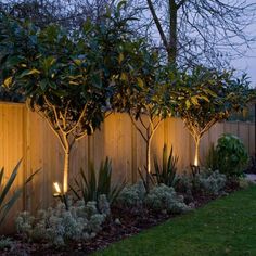 a fence with some trees and lights on it in the evening time, along with other plants