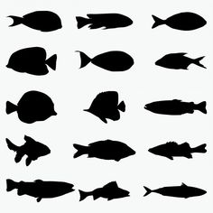 black silhouettes of fish on a white background