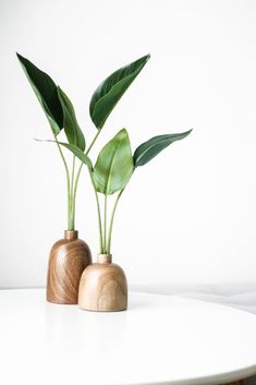 two wooden vases with green plants in them