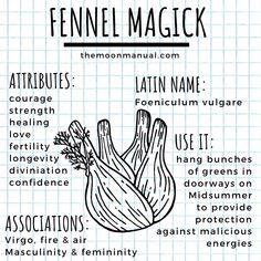 the anatomy of a fennel magick, with instructions for how to use it