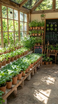 Homesteading Skills Homestead Vegetable Garden, Small Homestead Ideas, Homestead Storage, Horticulture Aesthetic, Self Sufficient Home, Self Sufficient Garden, Homesteading Aesthetic, Make Money Homesteading, Cozy Homestead