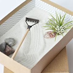 a garden tool in a box with rocks and an air plant on the sand inside