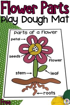 flower parts play dough mat for kids to learn about the parts of a flower and how they