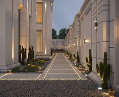 the walkway between two buildings is lit up with lights and cacti on either side