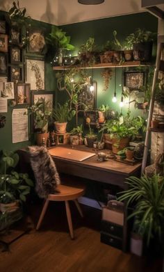 a room filled with lots of potted plants on top of a wooden desk next to a ladder