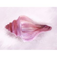 an abstract painting of a seashell on a white and pink background with watercolors