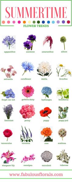 an image of flowers that are blooming in the spring and summertime, with text overlay