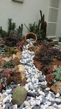 a garden with rocks and plants in it