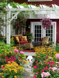 a white dog walking through a garden with lots of flowers on the side of it