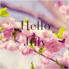 the words hello july are written in front of pink flowers and green leaves on a branch