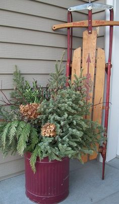 a potted plant in front of a wooden sled with pine cones and evergreens