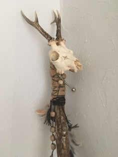 a deer skull mounted to the side of a wall with feathers and beads hanging from it's antlers