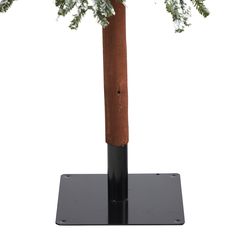 there is a small tree that has been placed on top of a black stand for display