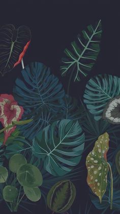 an illustration of tropical leaves and flowers on a dark background