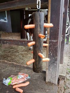 there are many hot dogs hanging on the fence post in front of a horse stable