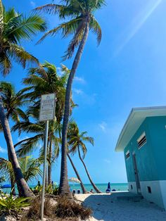 a blue building on the beach with palm trees