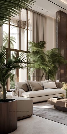 an elegant living room with palm trees in the window sill and white couches