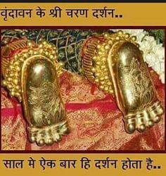 two golden shoes sitting next to each other on a red and gold cloth covered ground