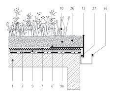 an image of a section of the ground with plants growing out of it and on top