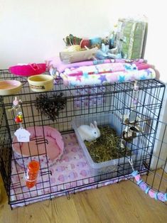 a caged in area with hamsters and other items