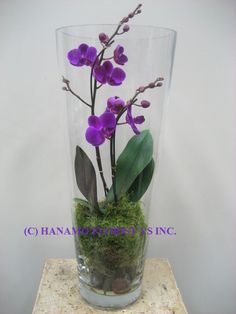 a glass vase filled with purple flowers and moss