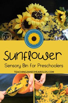 sunflowers are being made with yellow and black sprinkles