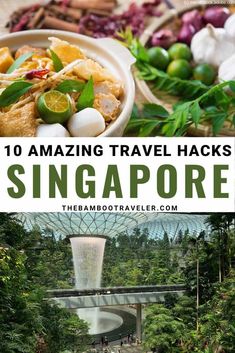 the top 10 amazing travel hacks in singapore, with text overlaying it