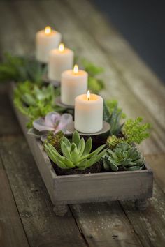 Vagabond Vintage 4 Candle Centerpiece Planter | Modishstore | Candle Holders Patio Table Centerpiece, Succulent Arrangements Diy, Diy Christmas Table, Garden Centerpiece, Succulent Garden Indoor, Winter Planter, Succulent Garden Design, Succulent Centerpieces, Christmas Table Centerpieces