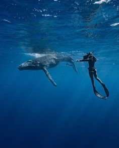 a person is diving next to a whale in the ocean with a scuba mask on