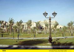 a lamp post in the middle of a park with palm trees and buildings in the background