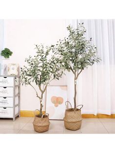 two potted trees sitting next to each other on top of a tile floor in front of a window