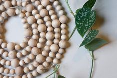 a bunch of beads sitting on top of a table next to a green leafy plant