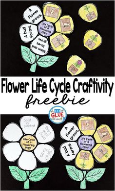 There are so many opportunities for hands-on science in the SpringAdd this flowering plant life cycle craftivity to your science centers today Plants First Grade, Flower Life Cycle Craft, Plant Life Cycle Craft, Life Cycles Kindergarten, Life Science Classroom, Life Science Projects, Flower Life Cycle