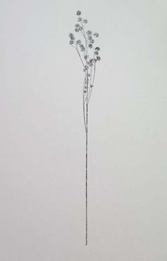 a drawing of some kind of flower on a white surface with no leaves or flowers