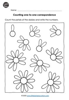 the worksheet for counting one - to - one correspondence with flowers on it