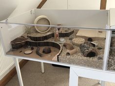 a display case filled with lots of different types of rocks and woodworking tools on top of a table