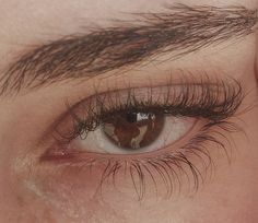 Thick Eyebrows, Longer Eyelashes, Long Lashes, Dream Body, Eye Art, An Eye