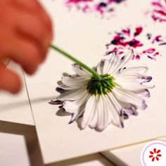 a person holding a flower on top of a piece of paper