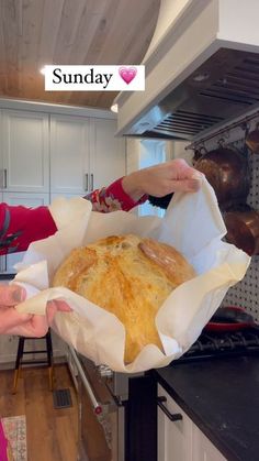 Aaron and Pleasant Marsee on Instagram: "🍞Foolproof bread: The night before mix 4 cups of all purpose flour, 2 cups of water, 3 tablespoons of olive oil, 2 teaspoons of salt and 1 packet of quick rising yeast in a large bowl. Cover with lid or plastic wrap overnight. 🍞2 hours prior to baking turn dough out onto a floured board. Using wet hands quickly shape into a ball. Transfer to parchment paper. Cover with a towel and let sit another 2 hours. 🍞When ready to bake place a lidded Dutch oven Wet Hands, Yeast Breads, Bowl Cover, Candy Recipes Homemade, Bread Bun, Half Baked Harvest, Bread Machine Recipes, All Purpose Flour