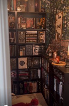 a book shelf filled with books next to a wall covered in posters and other items