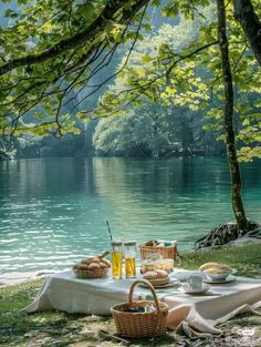 a picnic on the shore of a lake with food and drinks in front of it