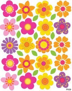 an assortment of colorful flowers on a white background