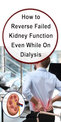 Kidney Friendly Diet, Improve Kidney Function, Kidney Detox, Kidney Function, Renal Diet