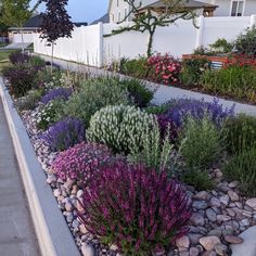 a garden filled with lots of flowers next to a white fence