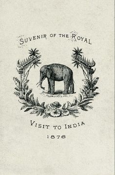 an elephant is standing in the middle of a floral frame