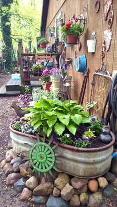 an old tub filled with lots of plants next to a building