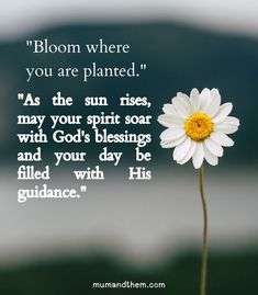 a flower with the words bloom where you are planted as the sun rises, may your spirit soar and your day be filled with his guidance