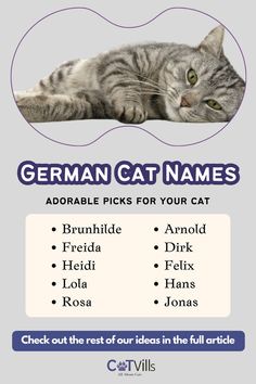 the german cat names poster is shown