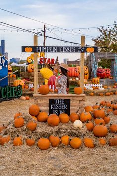 pumpkins are arranged on the ground in front of a sign that says pumpkin kisses